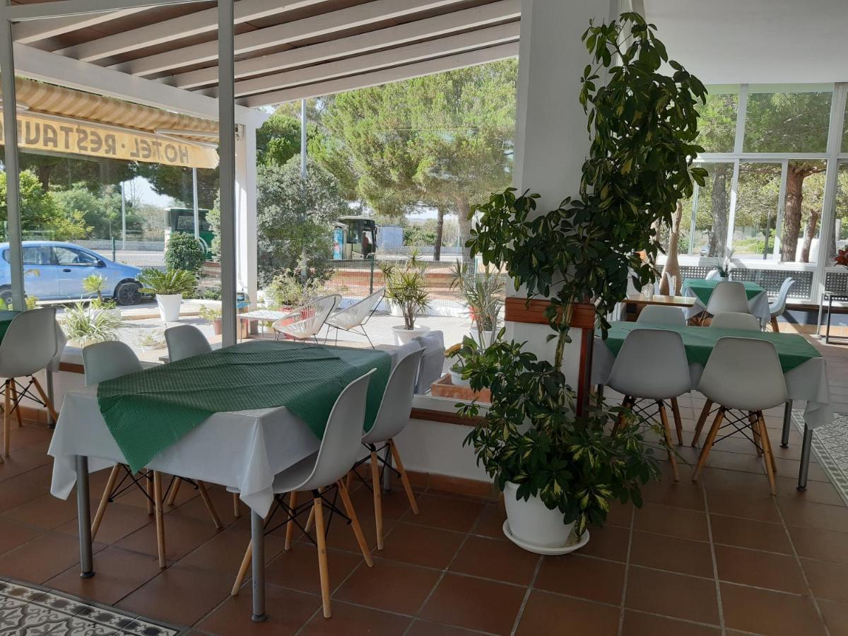 Hotel Marisma Sancti Petri Chiclana de la Frontera Eksteriør billede