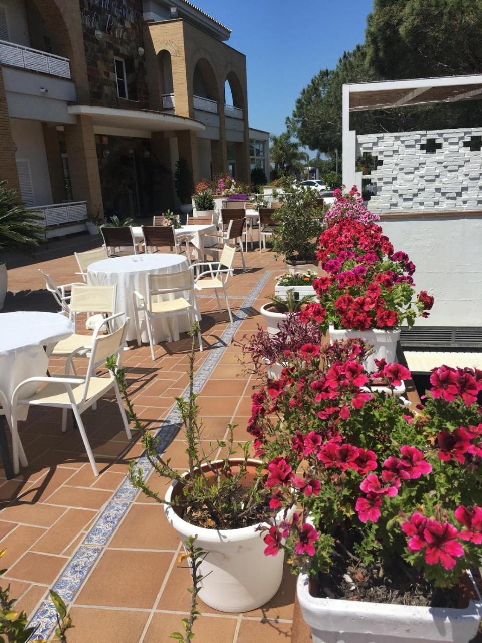 Hotel Marisma Sancti Petri Chiclana de la Frontera Eksteriør billede