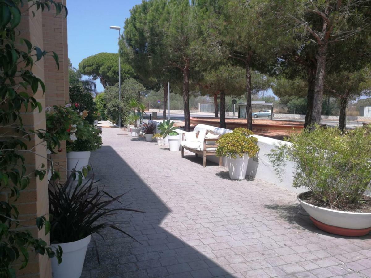 Hotel Marisma Sancti Petri Chiclana de la Frontera Eksteriør billede