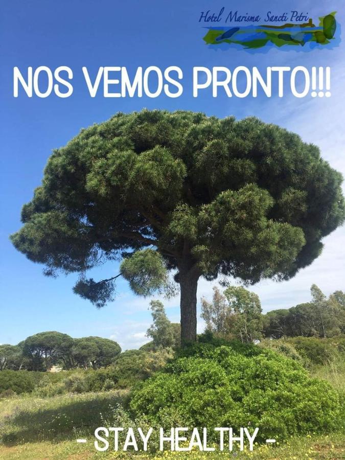 Hotel Marisma Sancti Petri Chiclana de la Frontera Eksteriør billede